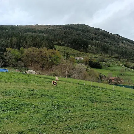 Ubilla Aterpetxea Aulestia